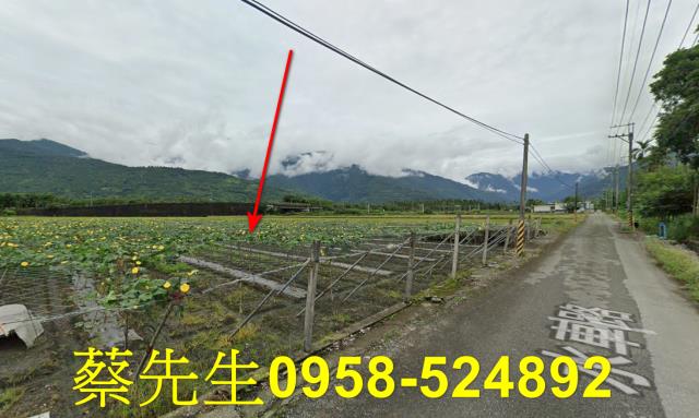 花蓮農地法拍-3