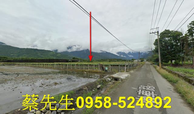 花蓮農地法拍-4