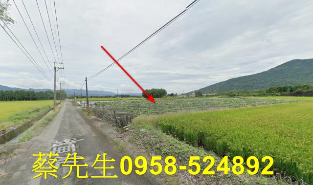 花蓮農地法拍-6