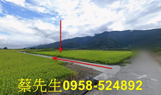 花蓮富里法拍農地-11