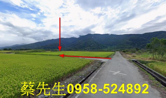 花蓮富里法拍農地-12