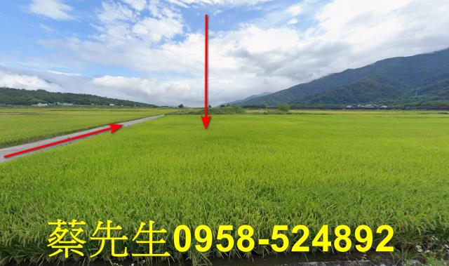 花蓮富里法拍農地-13