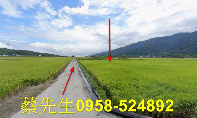 花蓮富里法拍農地-0
