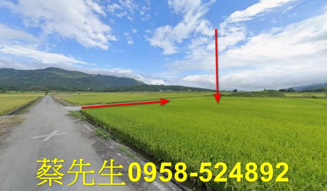 花蓮富里法拍農地-6