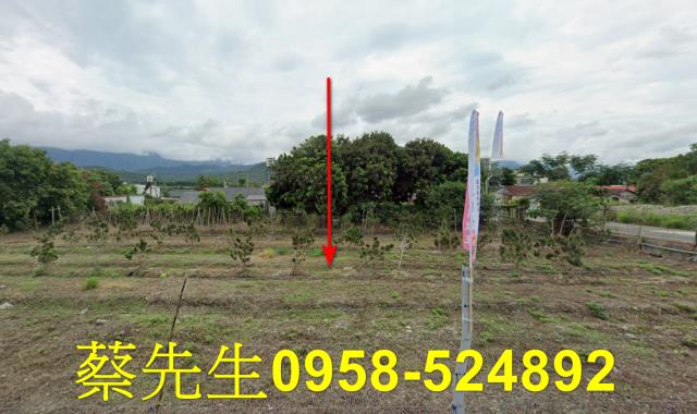 花蓮富里農地拍賣-12