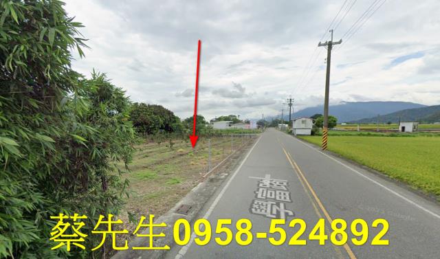 花蓮富里農地拍賣-14