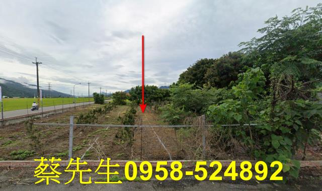 花蓮富里農地拍賣-3