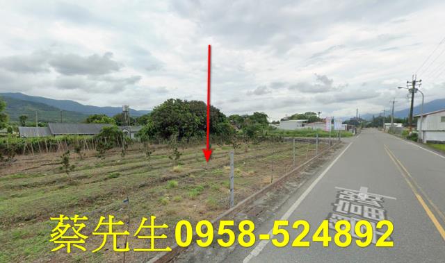花蓮富里農地拍賣-5