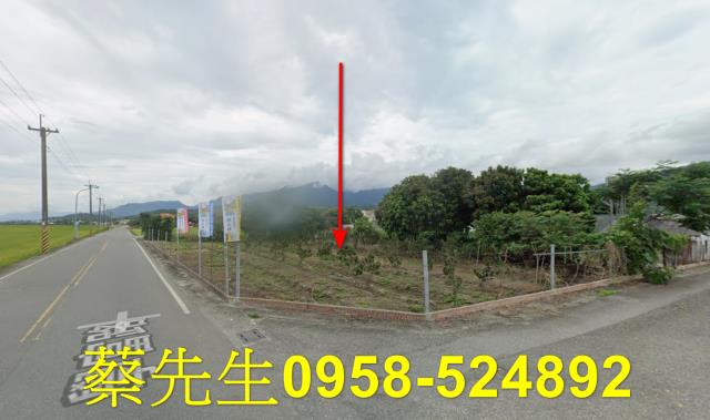 花蓮富里農地拍賣-8