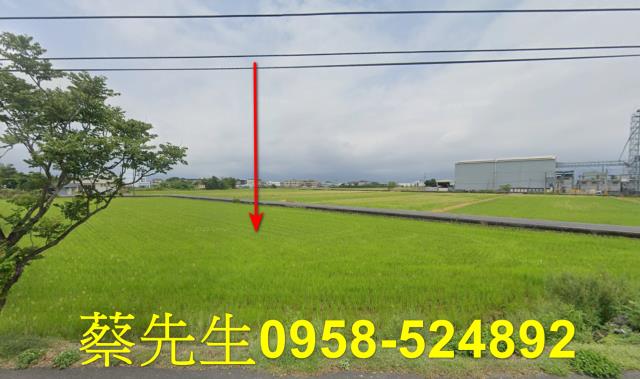 宜蘭壯圍法拍農地-8