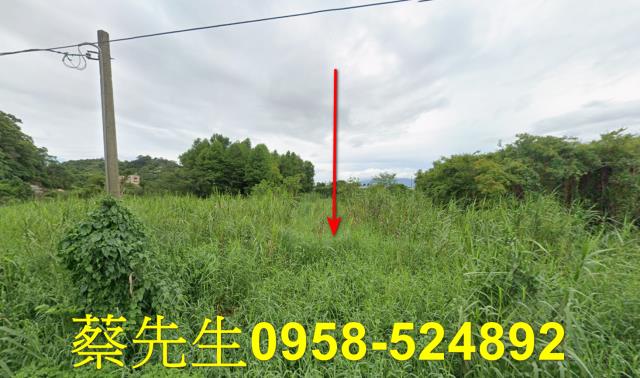 宜蘭員山農地法拍-0