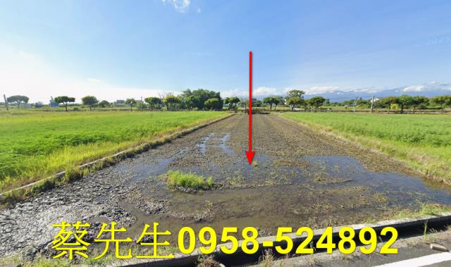 宜蘭員山法拍農地-0