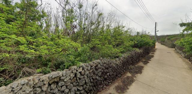 澎湖白沙農地法拍-12