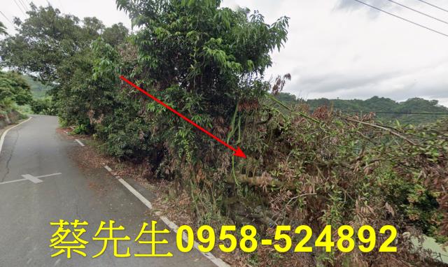 霧峰法拍農地-4