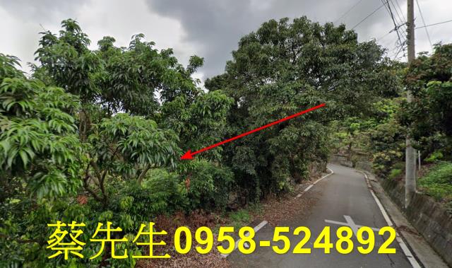 霧峰法拍農地-5