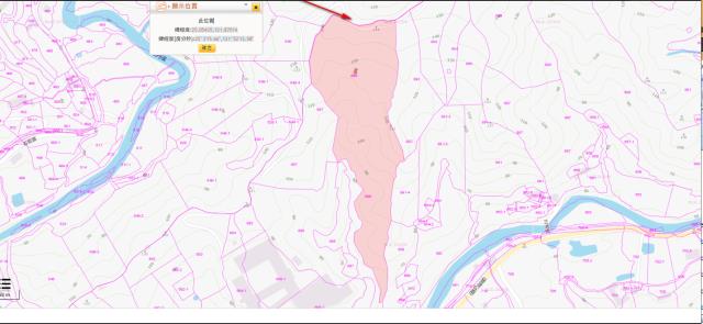 新北法拍農地-2