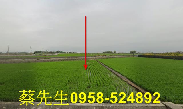 彰化竹塘農地法拍-0