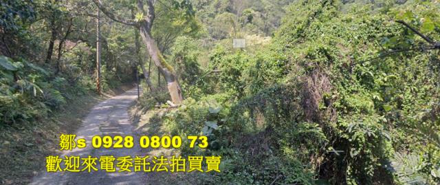 台北內湖農地法拍-0