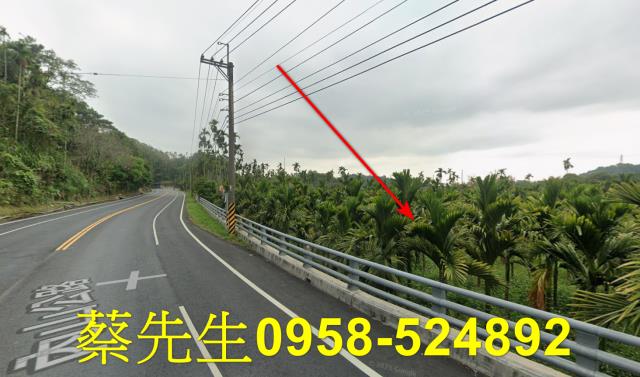 梅山法拍農地-11
