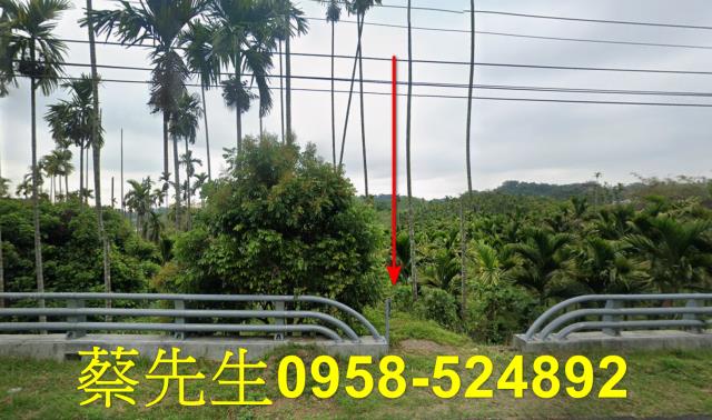 梅山法拍農地-8