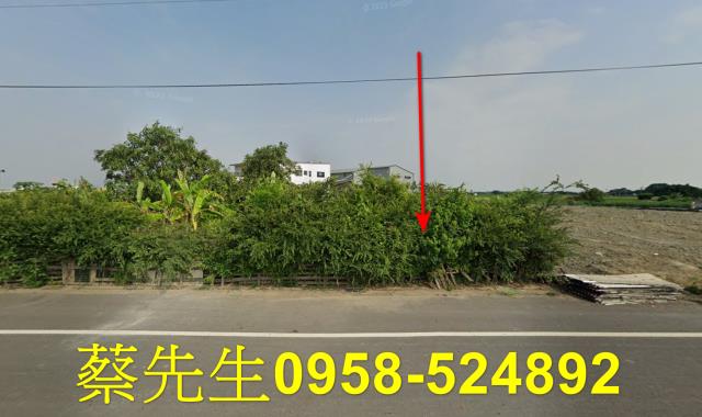 嘉義農地法拍-0