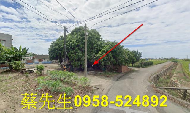嘉義法拍建地-11
