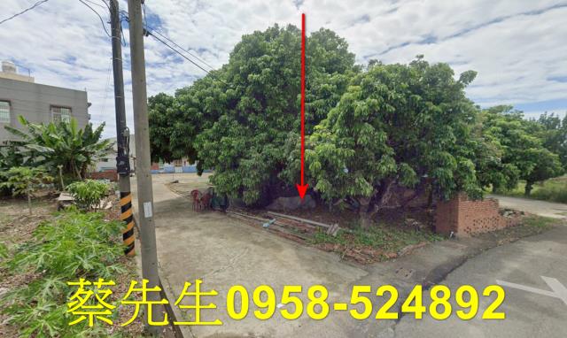 嘉義法拍建地-8