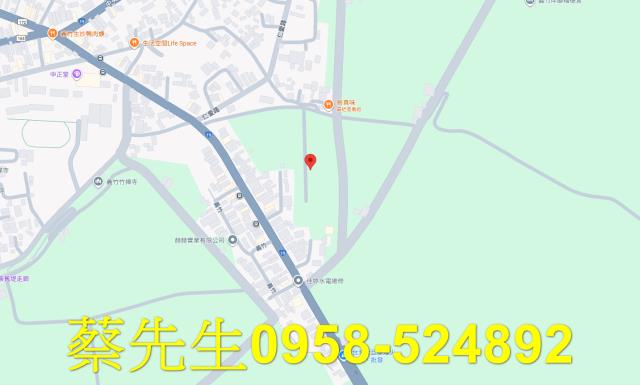 嘉義義竹法拍農地-7