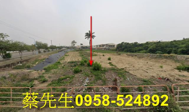 嘉義義竹法拍農地-8