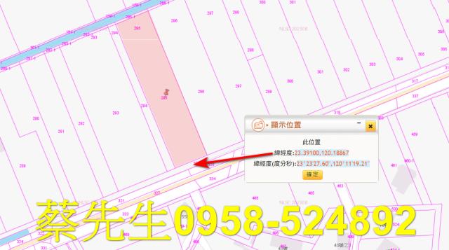 嘉義布袋農地法拍-1