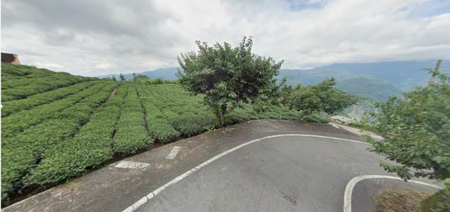 嘉義梅山農地拍賣-10