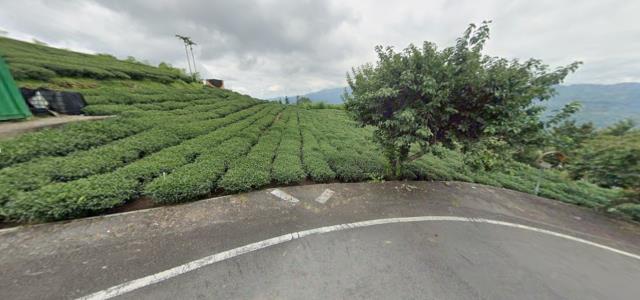 嘉義梅山農地拍賣-0