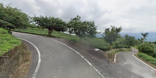 嘉義梅山農地拍賣-3