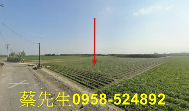 東勢鄉農地拍賣-3
