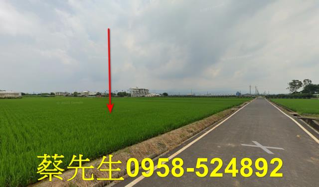 斗六農地拍賣-13