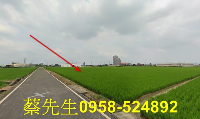 斗六農地拍賣-4