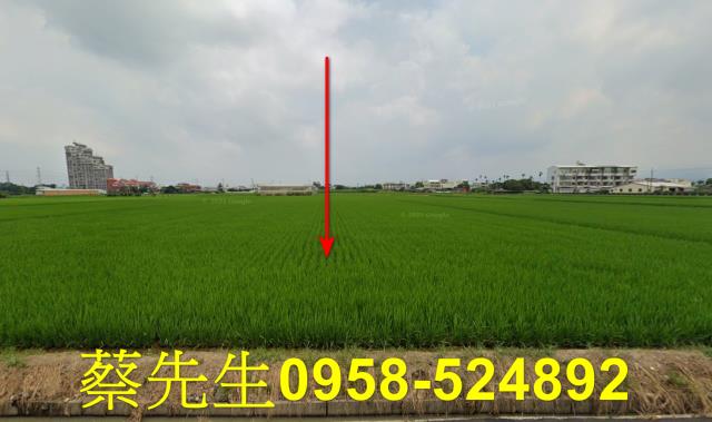 斗六農地拍賣-8