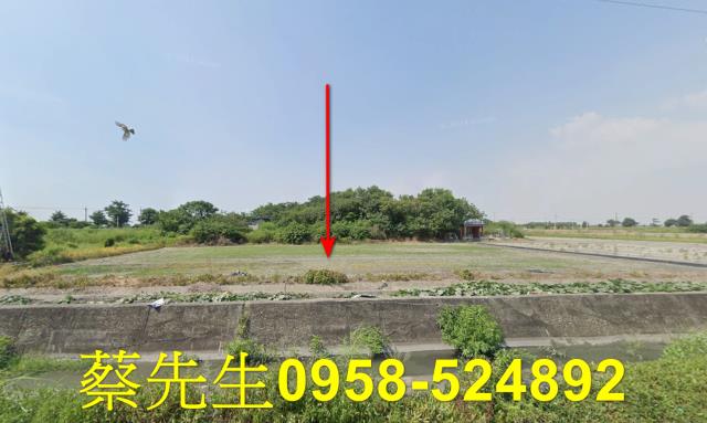 雲林水林農地法拍-8