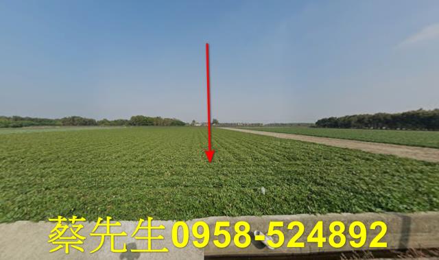 雲林水林法拍農地-0
