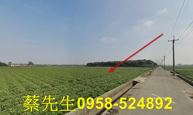 雲林水林法拍農地-4
