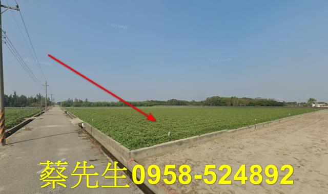 雲林水林法拍農地-5