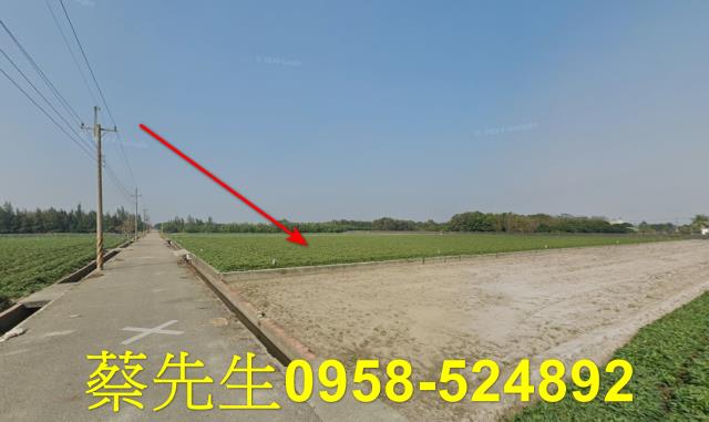 雲林水林法拍農地-6