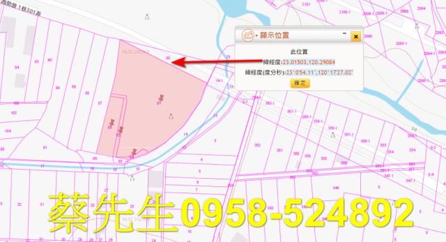 台南農地拍賣-9