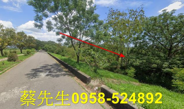 台南農地拍賣-3
