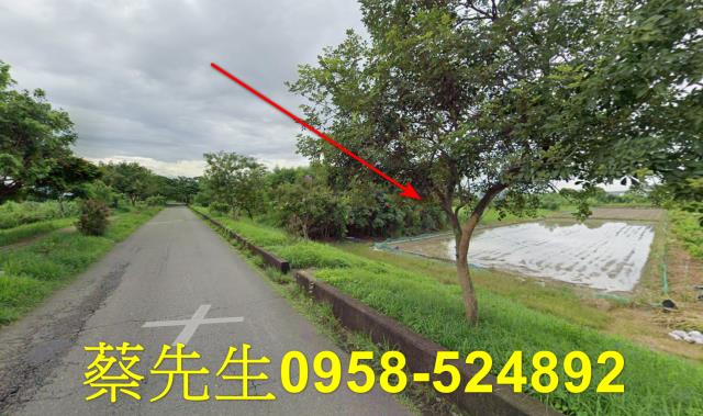 台南農地拍賣-4