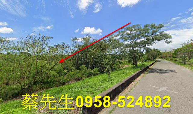 台南農地拍賣-5