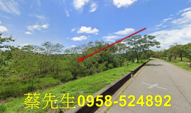台南農地拍賣-6