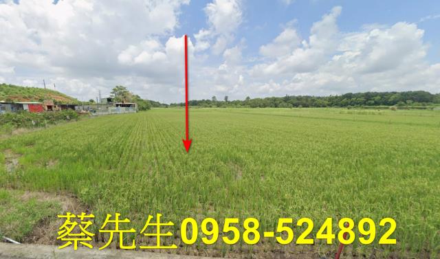 台南關廟農地法拍-8