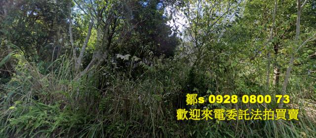 新北烏來農地法拍-0