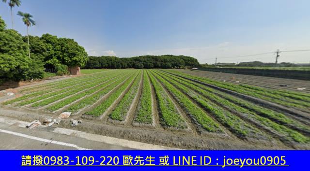 彰化溪州法拍農地-11
